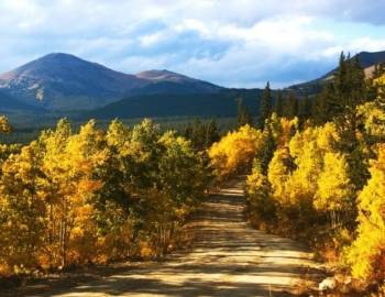 Boreas Pass Road