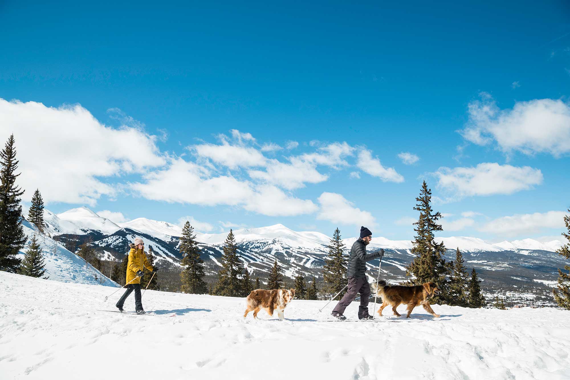 Winter Hiking