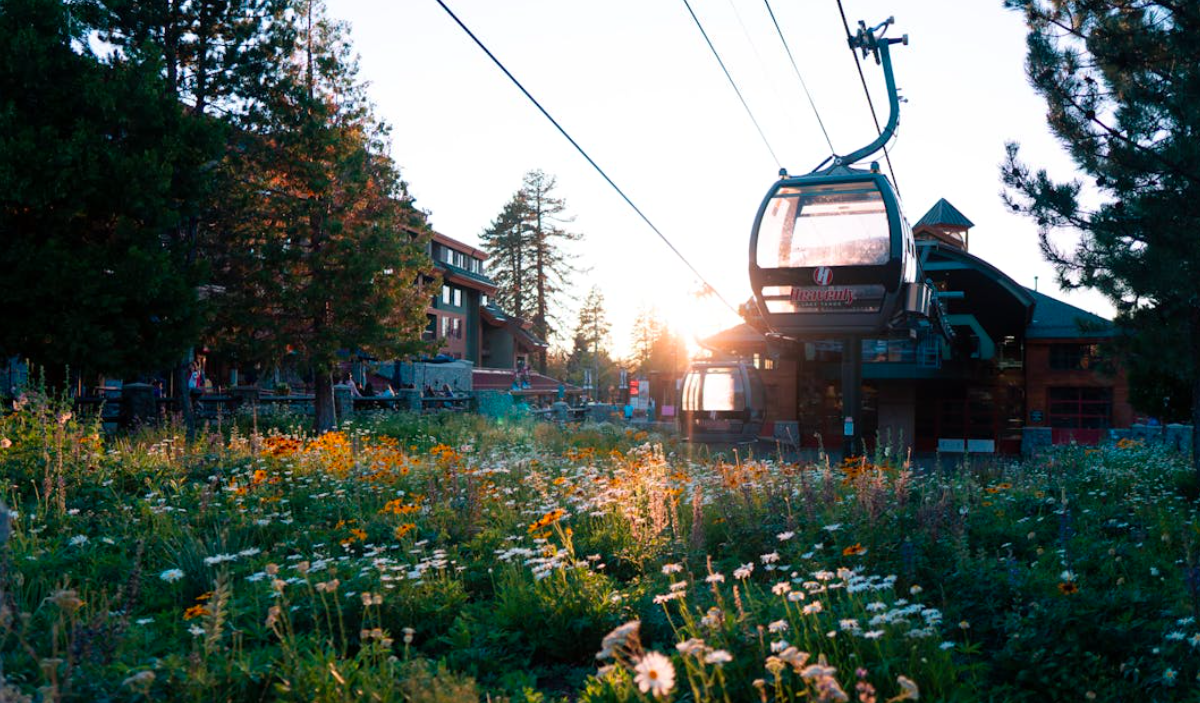 Summer Gondola Ride in Keystone